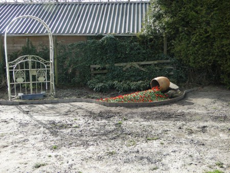 De Primula is al gaan bloeien